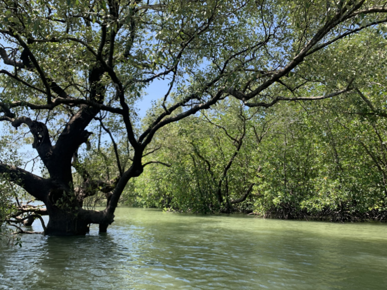 Pimalai Resort & Spa Koh Lanta gallery image